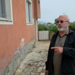 Hatay'da depremden sonra ortaya çıkan salyongozlar mahalleyi istila etti 