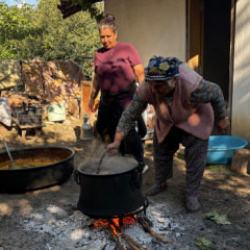 Atadan kalma yöntem! Kurutulan incirler  asla bozulmuyor