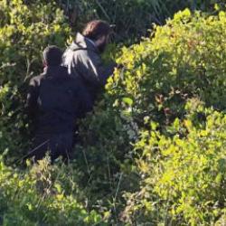 Samsun'da kaçak avcılık! 1 milyon 566 bin TL ceza kesildi