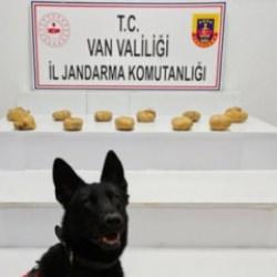 Van'da zehir tacirlerine dev darbe! 11 kilo 958 gram toz esrar ele geçirildi