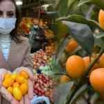 Altın portakal meyvesi kamkata talep patlaması! Fiyatı ise şaşırtıyor...