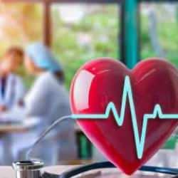 Kartal Koşuyolu Y&uuml;ksek İhtisas Eğitim Ve Araştırma Hastanesi