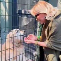 'Beni de uyutun' diyen Ajda Pekkan'ın köpeklerini kafese kapattığı ortaya çıktı! 