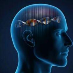 2025 IQ test listesi! İlk sırayı alan şehir herkesi şaşırttı