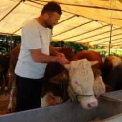 Ülke genelinde tüm hayvan pazarları kapatıldı