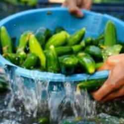 Bu zammın izahı yok! Y&uuml;zde 141 fiyat artışı isyan ettirdi BU işte bir 'HALLER' var