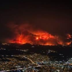 Bakan Kurum'dan son dakika yangın açıklaması! 6 ilde yangınların bilançosu belli oldu