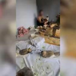 Avlanması yasak olan kuşları yakalayan şüpheli yakalandı