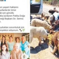 Beykoz'da vekil başkan mama lobisini ziyaret etti: Vatandaş tepki g&ouml;sterdi