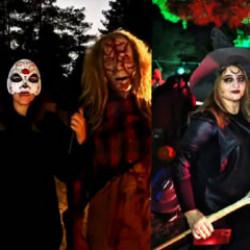 Peygamberler şehri Şanlıurfa'da 'Cadılar Bayramı' skandalı! Tartışma yaratan görüntüler