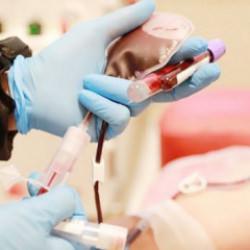 Bir bağış, bir hayat... Kök hücre bağışıyla hayat yeniden başlıyor!