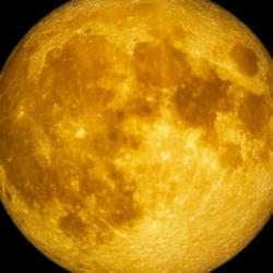 Türkiye'de 2019'dan bu yana bir ilk gerçekleşecek! 5 Kasım'da başlıyor