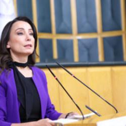 DEM Parti'li Hatimoğulları'ndan 'Ter&ouml;rs&uuml;z T&uuml;rkiye' mesajı