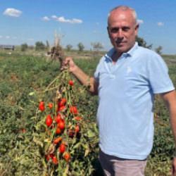 "Se&ccedil;im" ismi verildi! İşte aldığı ismin ilgin&ccedil; hik&acirc;yesi 