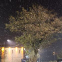 Elazığ'ın tarihi zirvesi Harput'ta kar yağışı başladı