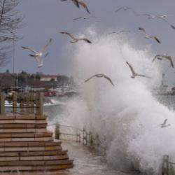 İstanbul Valiliği fırtına bilan&ccedil;osunu a&ccedil;ıkladı: 23 &ccedil;atı u&ccedil;tu, 80 su baskını yaşandı