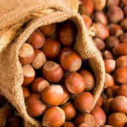 Tam tamına 238 bin ton! İşte T&uuml;rkiye'nin en &ccedil;ok fındık sattığı &uuml;lke