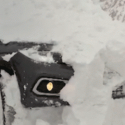 Giresun'da faciaya ramak kala! Kara saplanan otomobilin &uuml;zerine &ccedil;ığ d&uuml;şt&uuml;