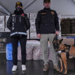 İzmir merkezli 11 ilde dev operasyon: 654 kişi tutuklandı!