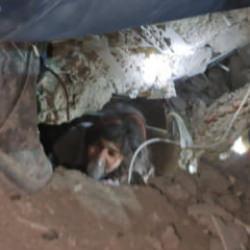 Kedi sesi sandı, Aysima 40 saat sonra b&ouml;yle kurtarıldı 