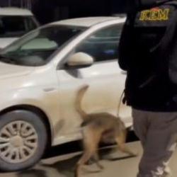 Binlerce uyuşturucu hap ele ge&ccedil;irildi: 3 kişi tutuklandı