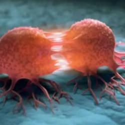 Kanser h&uuml;crelerini &ouml;ld&uuml;r&uuml;yor! Yeni tedavi y&ouml;ntemi şaşkına &ccedil;evirdi