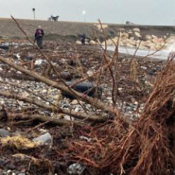 Selin vurduğu Mersin'de sahile akın edip teker teker topladılar