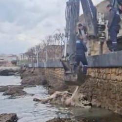 Kimse nereden geldiğini anlayamadı! &Ccedil;anakkale'de denizde şaşırtan g&ouml;r&uuml;nt&uuml;