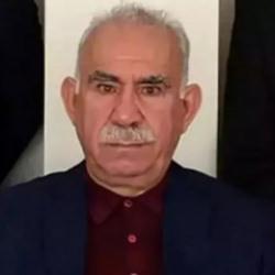 Taslak raporda ter&ouml;ristbaşı &Ouml;calan'a umut hakkı yer almıyor