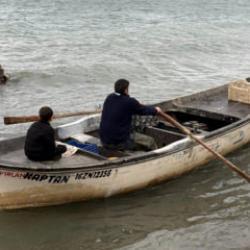 Bursa'da balık&ccedil;ının ağına takılanı duyan kıyıya akın etti