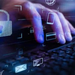 Devletin sinir u&ccedil;ları