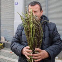 Doğada kendiliğinden yetişiyor! Kilogramı 150 TL 