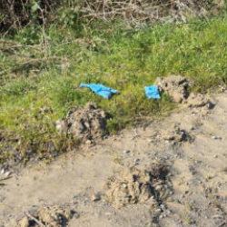 İstanbul'da korkun&ccedil; cinayet: &Ccedil;inli adam elleri ve ayakları bağlı olarak &ouml;l&uuml; bulundu