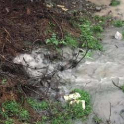 İzmir'de su skandalı: Kanalizasyon suyu i&ccedil;me suyuna karıştı: Bakanlık cezayı kesti