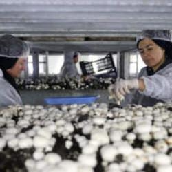 Ekonomide b&uuml;y&uuml;menin anahtarı kadının elinde 