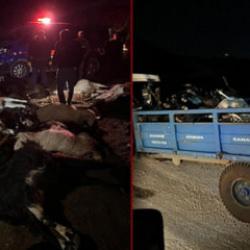 Hatay'da besiciyi &ccedil;aresiz bırakan olay: Su i&ccedil;en 43 k&uuml;&ccedil;&uuml;kbaş telef oldu