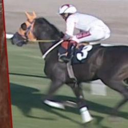 CHP'li belediye a&ccedil;ıklamamıştı Halka at eti yediren firma S&uuml;leymancı &ccedil;ıktı