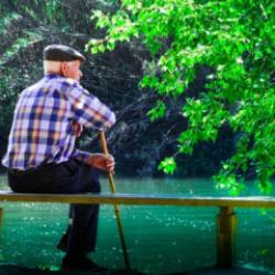 Sadece 65 yaş &uuml;st&uuml; değil t&uuml;m emeklileri kapsıyor: İşte 2026'da yararlanılabilecek haklar