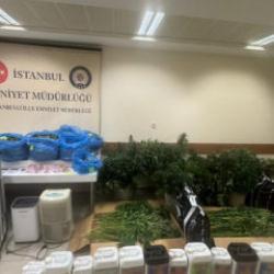 Sultanbeyli&rsquo;de zehir dairesine baskın: Evin i&ccedil;ine kenevir serası kurmuşlar!