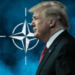 'Bu bir testti' diyen Trump'tan NATO'ya ağır eleştiri! İttifak sınıfta mı kaldı?