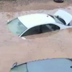 Siirt&rsquo;te ara&ccedil;lar sel sularında kayboldu, onlarca hayvan telef oldu