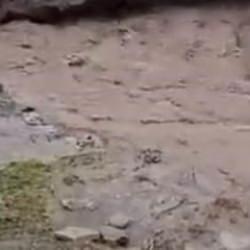 Siirt&rsquo;te faciadan d&ouml;n&uuml;ld&uuml;: Sel suları bir evi yuttu