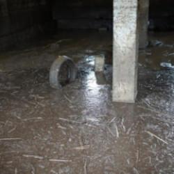 Siirt'te sağanak sonrası facia: 35 k&uuml;&ccedil;&uuml;kbaş akıntıya kapılarak telef oldu