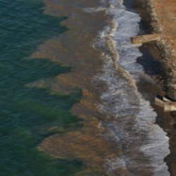 Trabzon'da şaşırtan g&ouml;r&uuml;nt&uuml;: Sahil bir gecede &ccedil;amura d&ouml;nd&uuml;