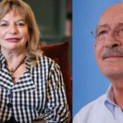 Kılı&ccedil;daroğlu'na "kılı&ccedil; artığı" demişti: Mine Kırıkkanat hakkında soruşturma!