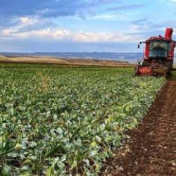 Bakan Yumaklı duyurdu: &Uuml;reticilere 374,7 milyon liralık IPARD-III &ouml;demesi hesaplarda