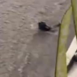 Ankara'yı sel vurdu! Vatandaşlar suda s&uuml;r&uuml;klendi