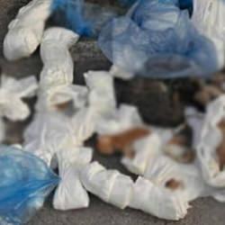 İzmir'de vahşet: Poşetlere d&uuml;r&uuml;lm&uuml;ş 33 &ouml;l&uuml; kedi bulundu