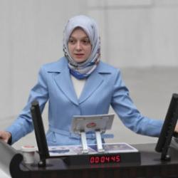 TBMM&rsquo;nin en ge&ccedil; Milletvekili AK Partili Aydemir&rsquo;den CHP&rsquo;li Başarır&rsquo;a tepki