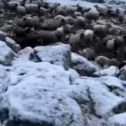 Kentte kış geri d&ouml;nd&uuml;! Termometreler eksi 5'i g&ouml;sterdi: Lapa lapa kar yağdı 